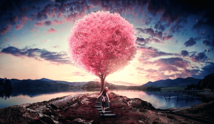 掌握要點，整個網站建設完畢將給人帶來驚艷的視覺效果。